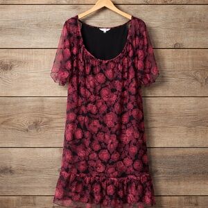 Terra and Sky 3x 24/26 Semi Sheer Floral Print Maxi Dress